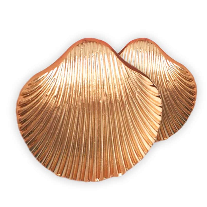 Shell Earrings Large Golden Shell