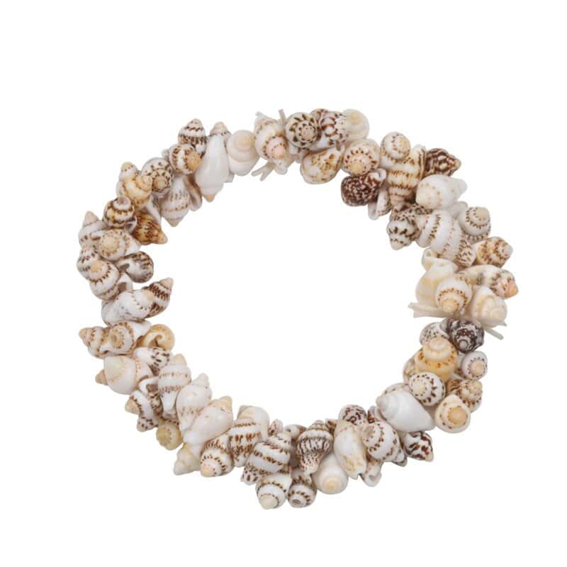 Shell Bracelet Nassarius