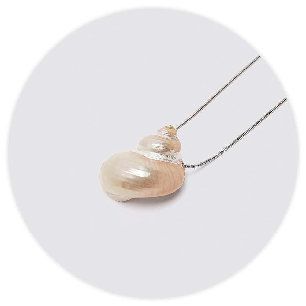 Shell Necklace Nacreous Turbo