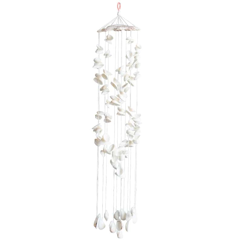Shell Decor White And St. Jacques Shells