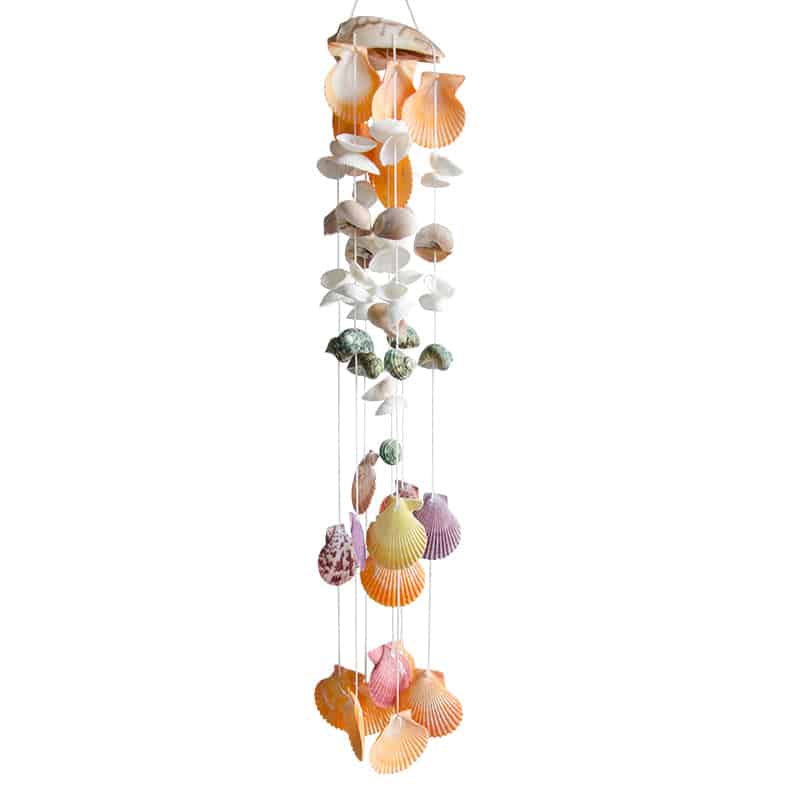 Shell Decor The Concha
